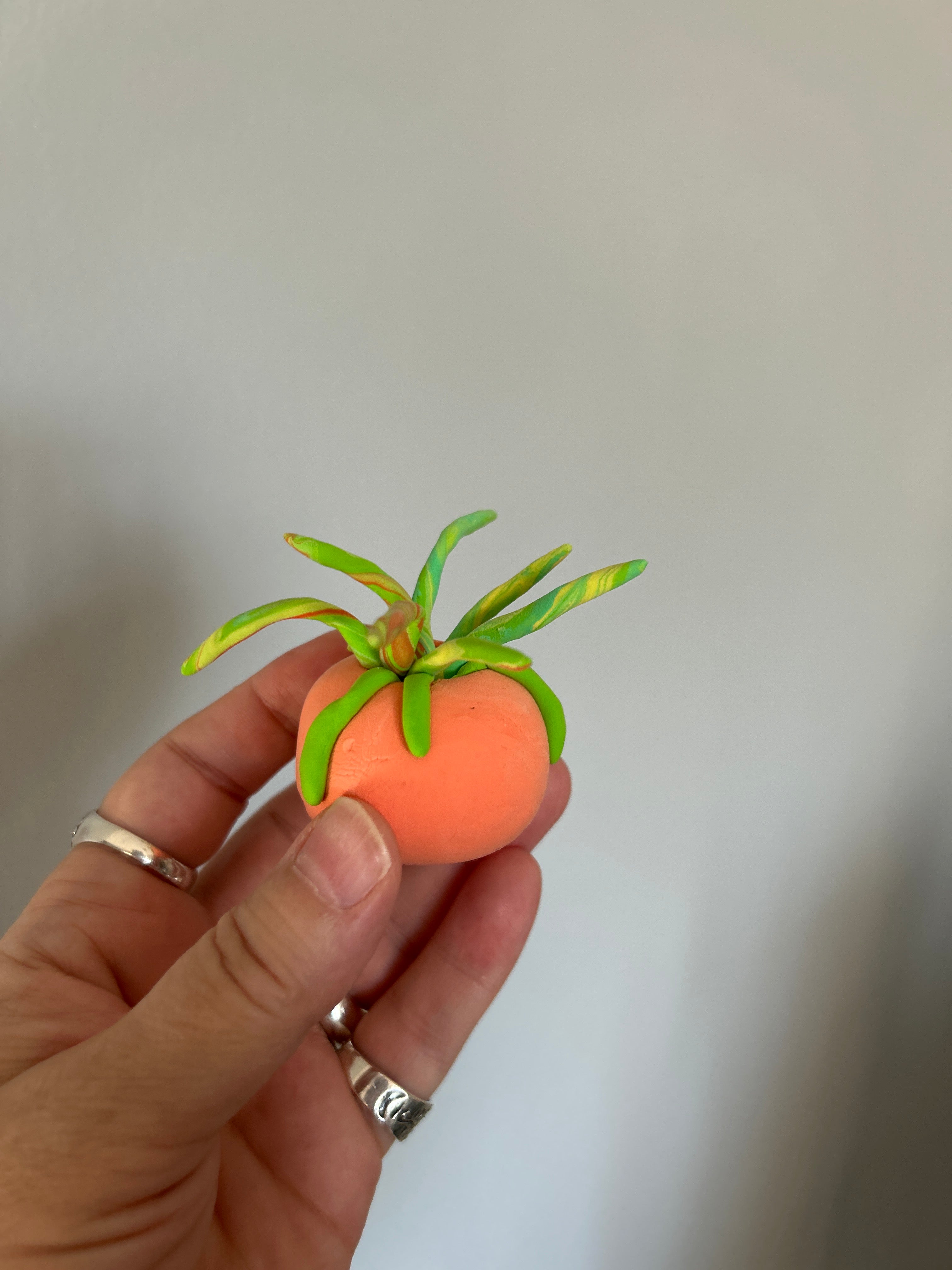 Sweet Clay Succulents