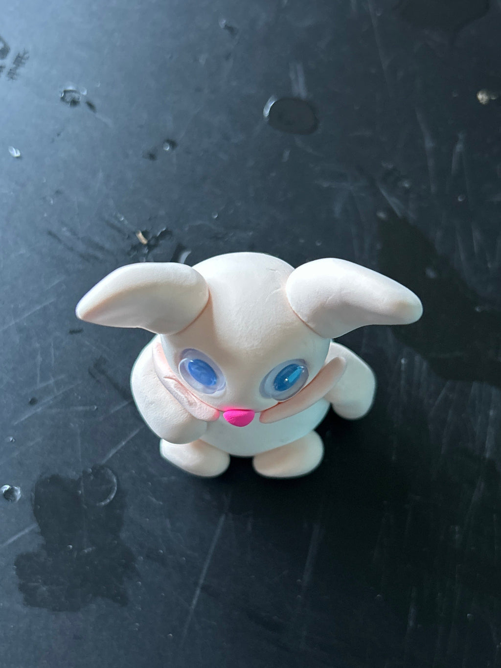 Adorable Bunn Bunn
