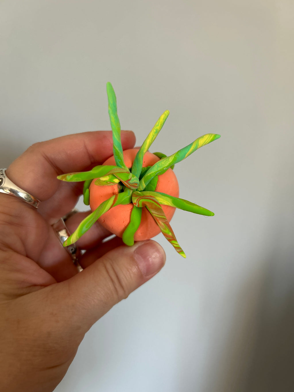 Sweet Clay Succulents