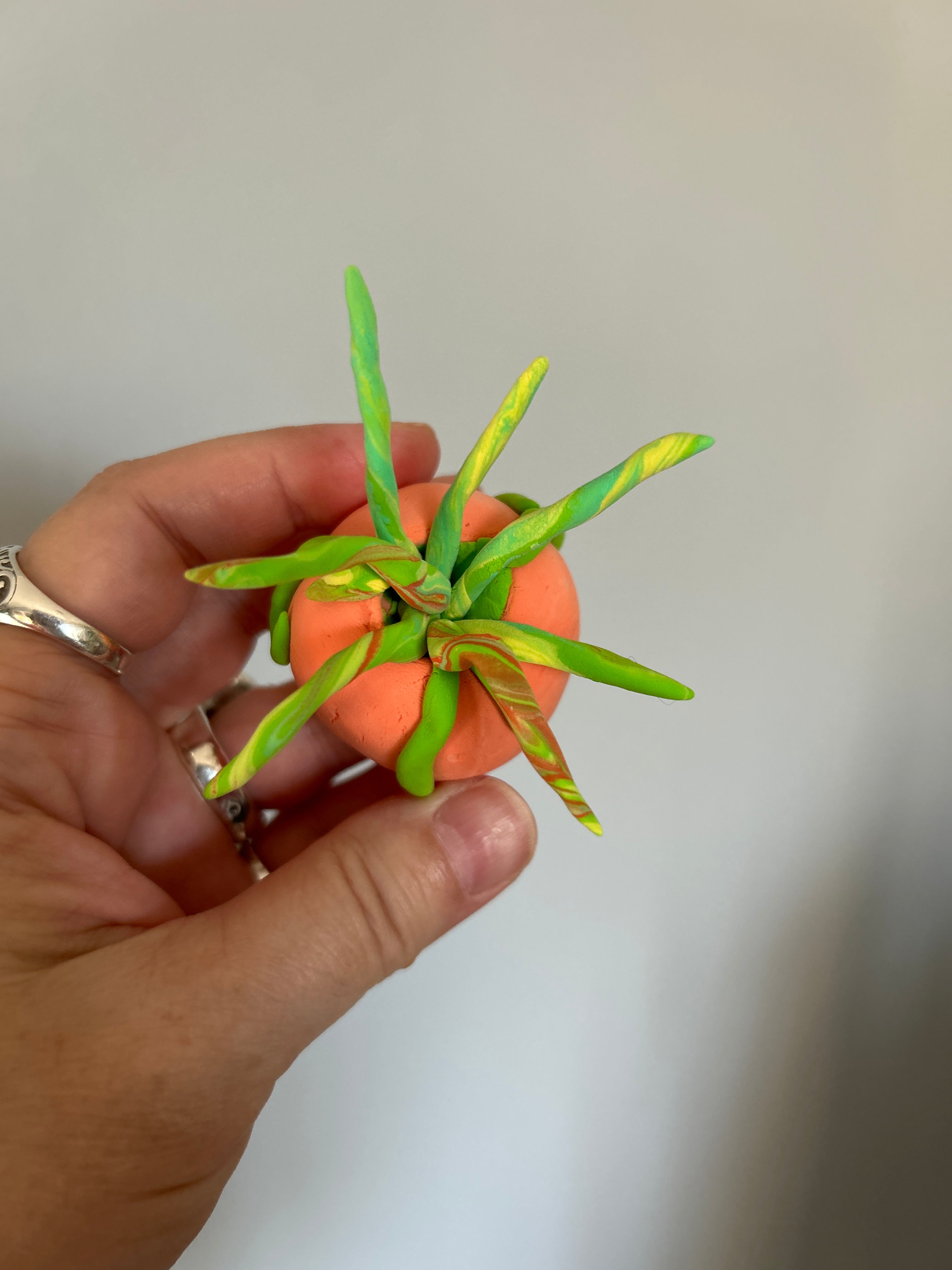 Sweet Clay Succulents