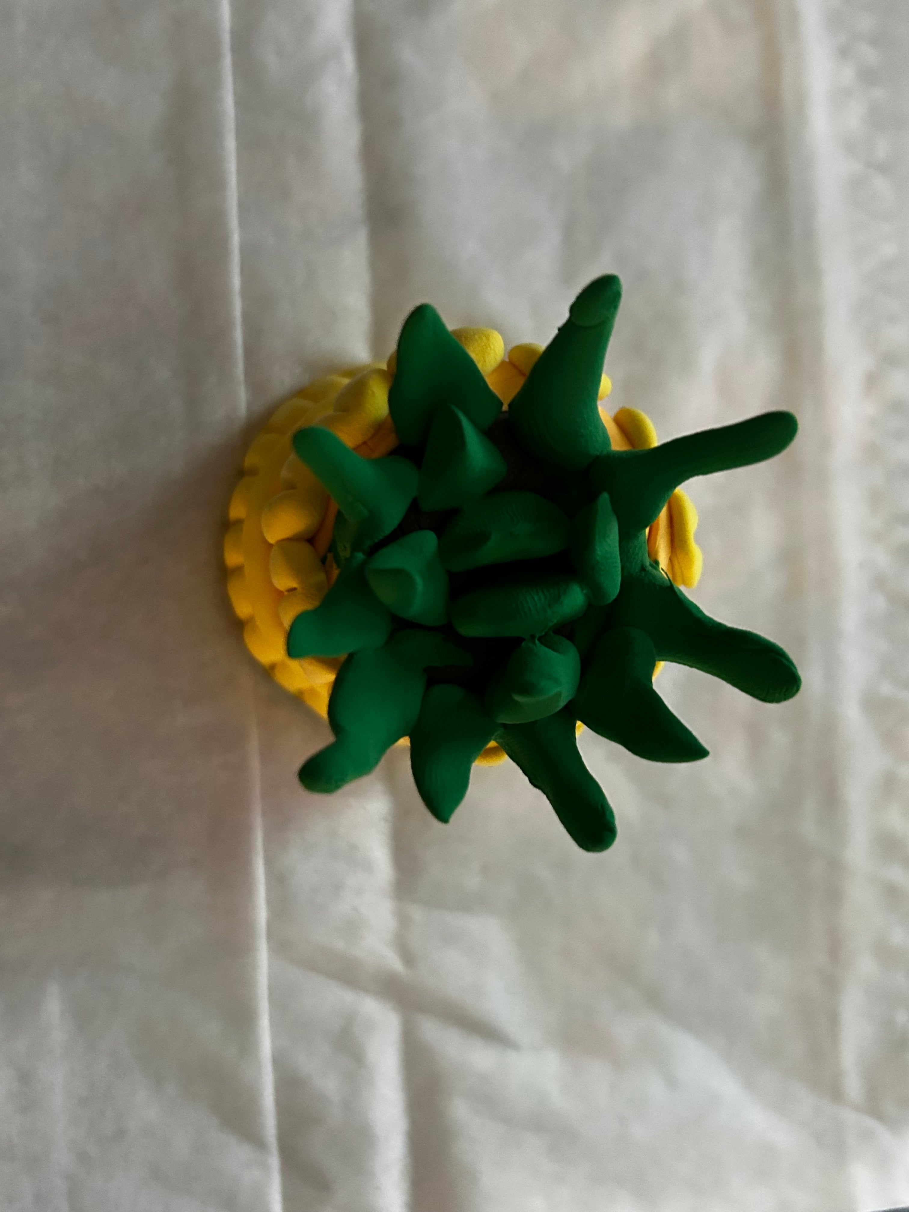 Sweet Clay Succulents