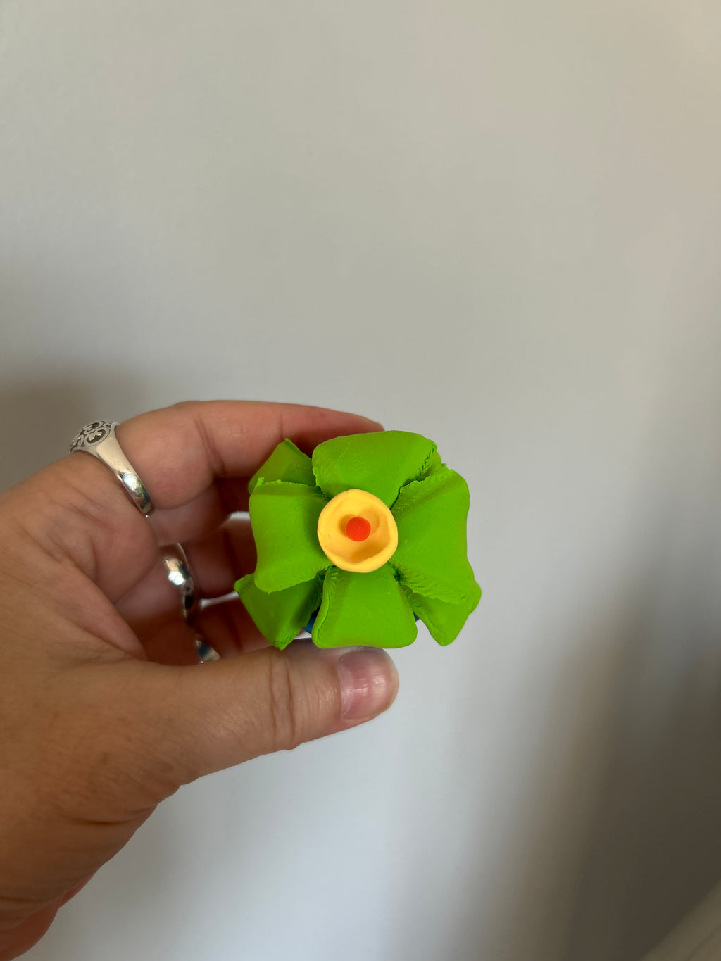 Sweet Clay Succulents