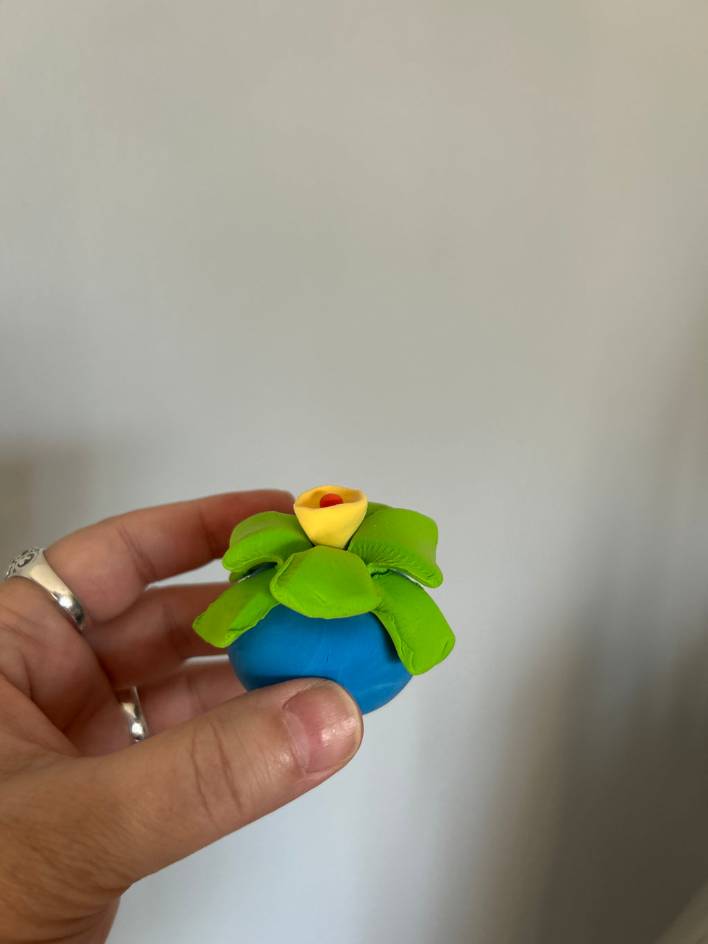 Sweet Clay Succulents