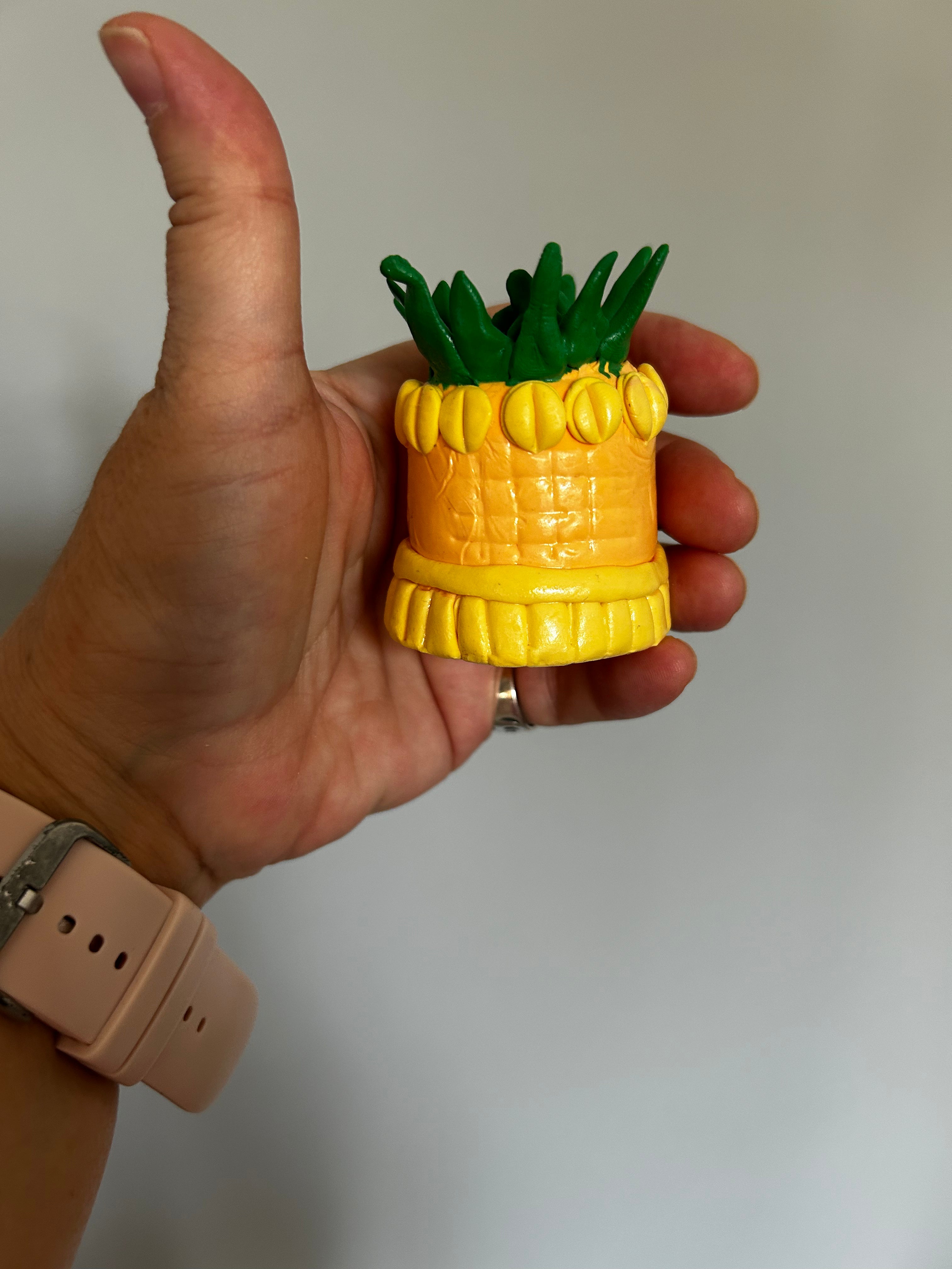 Sweet Clay Succulents